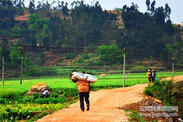 路上遇到的行人