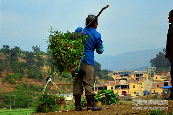 樸實無華的村中婦女