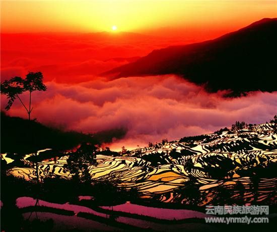 哈尼梯田最佳拍攝地推薦