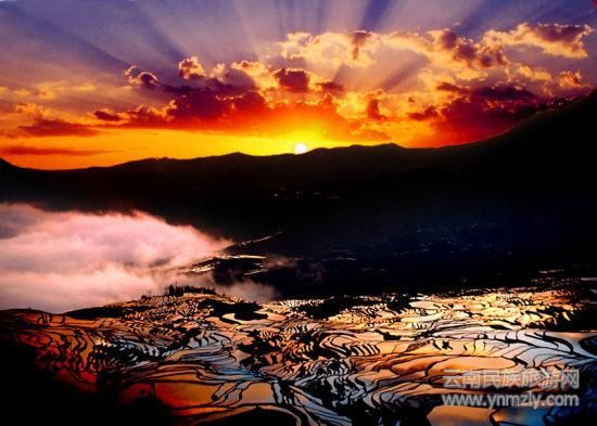 哈尼梯田最佳拍攝地推薦