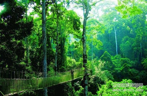 云南六大最新最具特色的旅游攻略！