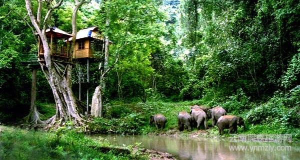 云南六大最新最具特色的旅游攻略！