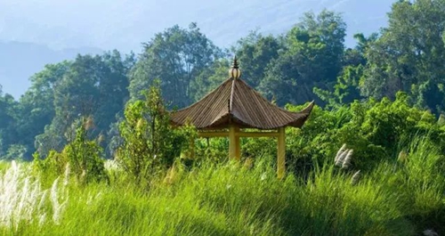 盈江游玩最強(qiáng)攻略 你得這樣玩