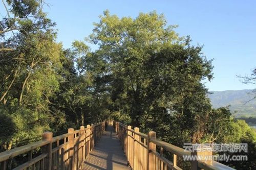 盈江游玩最強(qiáng)攻略 你得這樣玩