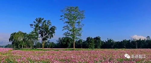 盈江游玩最強(qiáng)攻略 你得這樣玩