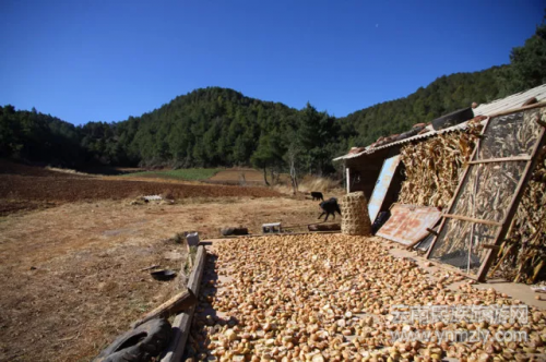 5年了，這對(duì)夫妻在文筆山深處為夢(mèng)想打拼