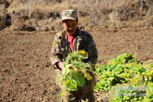 5年了，這對(duì)夫妻在文筆山深處為夢(mèng)想打拼