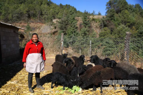 5年了，這對(duì)夫妻在文筆山深處為夢(mèng)想打拼
