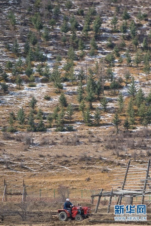 （社會）（2）雪域高原農事忙